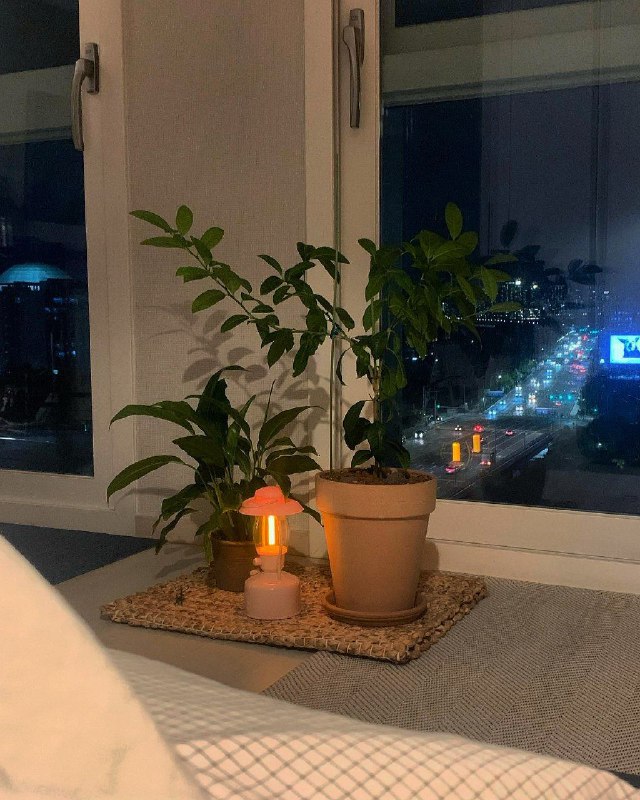 یادت باشه