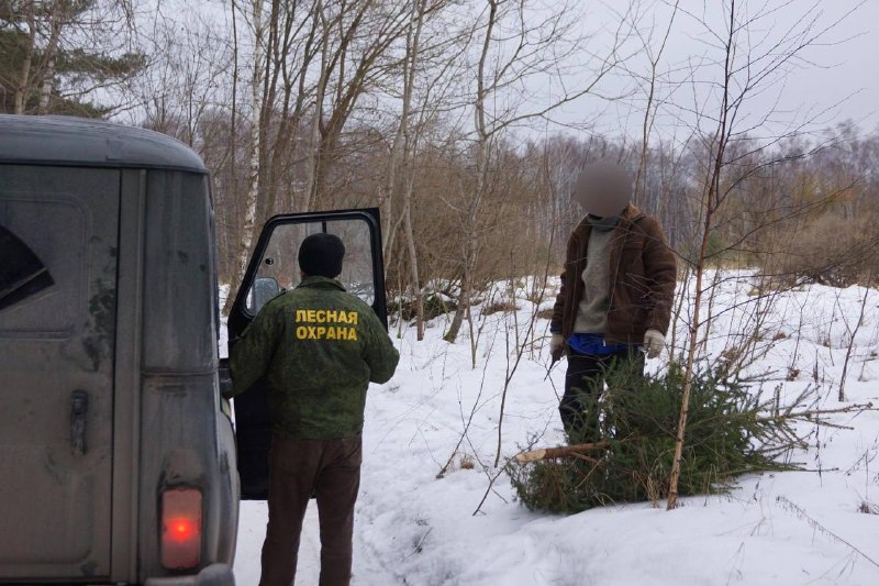 В Подмосковье начались предновогодние рейды по …