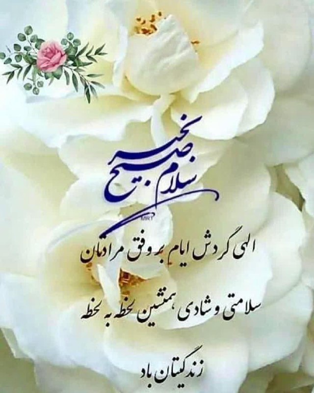 هر صبح،