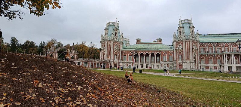 Атмосферный ноябрь в Царицыно.