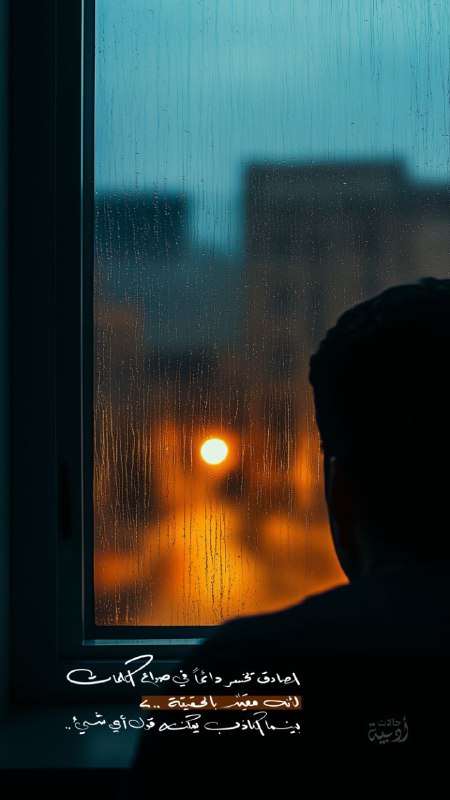 حالات أدبية