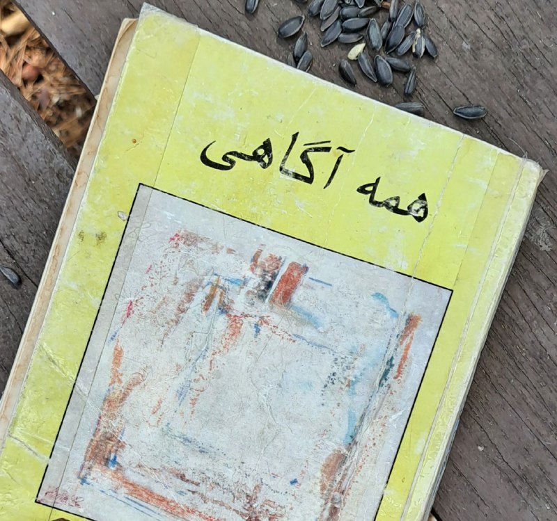‌