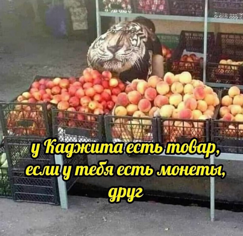 Мост на Жепи