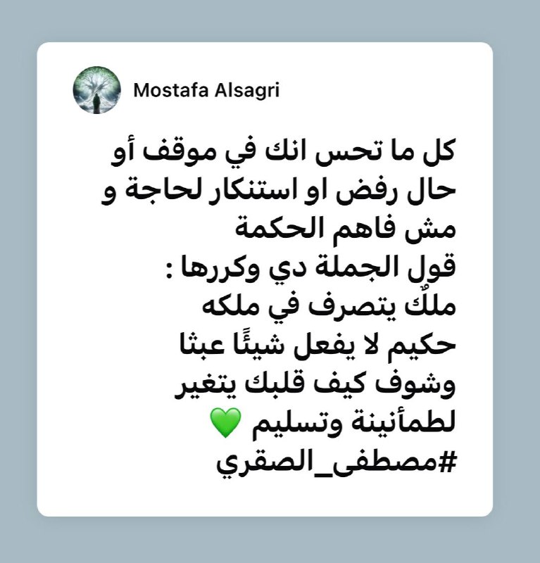 Mostafa Alsagri