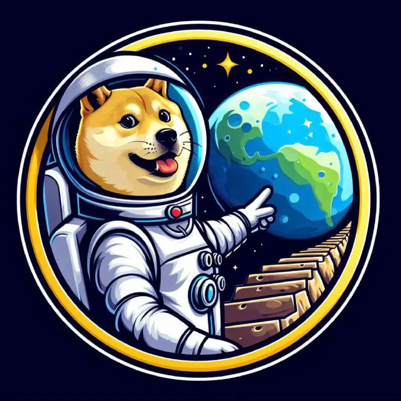 **Doge made it to the Moon** …