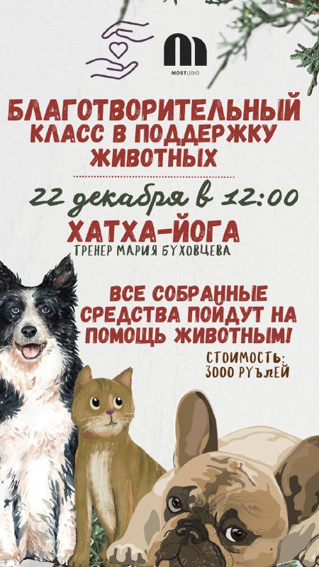 **22 декабря в 12:00 пройдет благотворительный …