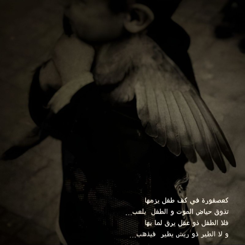 هذه روح المحب ***?***