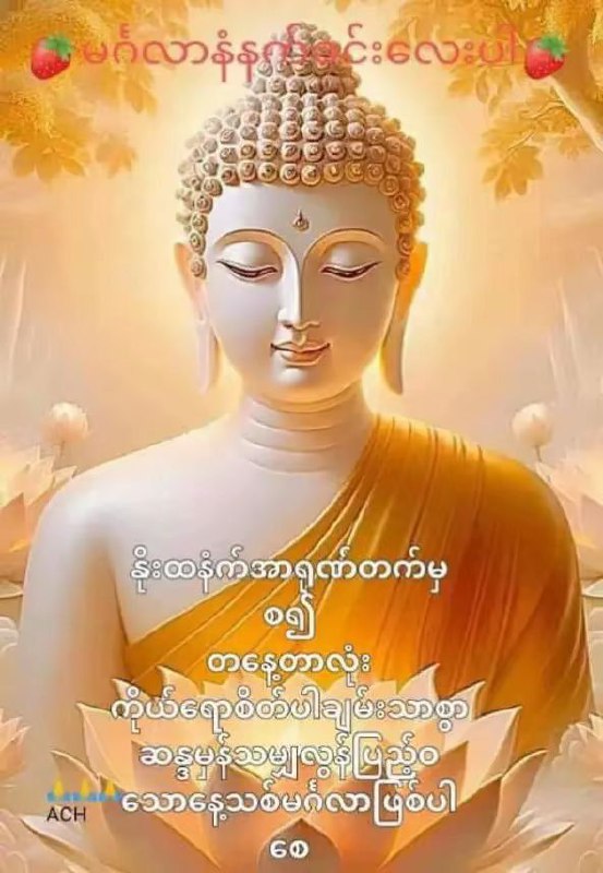 အမေ့သားကိုမျိုး