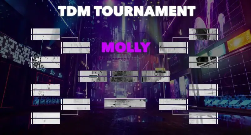 **TDM TOURNAMENT BY