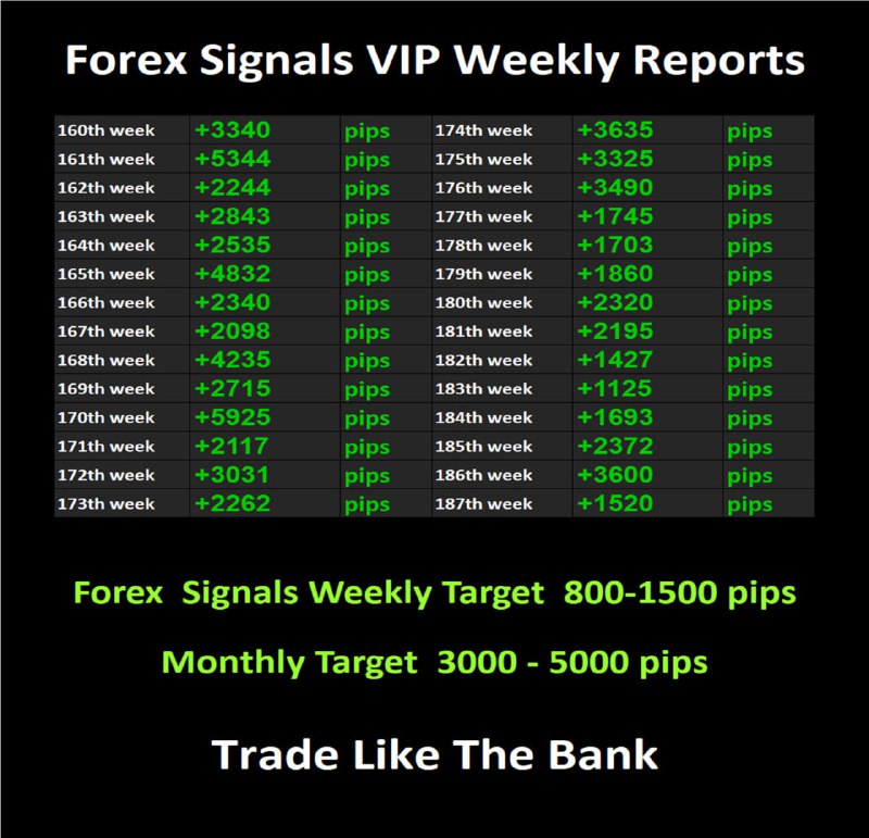 Moustache Man MM Forex Trading Signals …