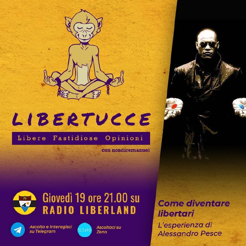 Questa sera alle 21:00 torna il …