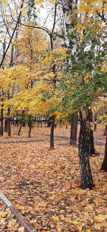 Можайский Кунцево Крылатское