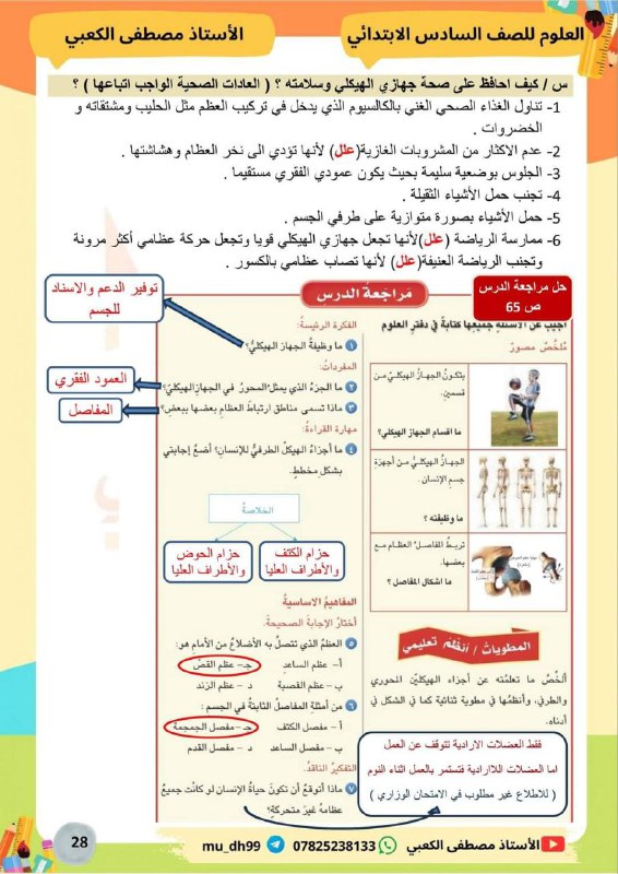 الاستاذ طه حسين- مدرس اللغة الانكليزية