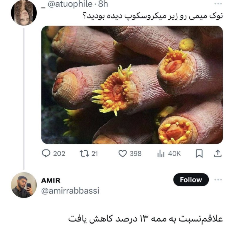 آقای مودی