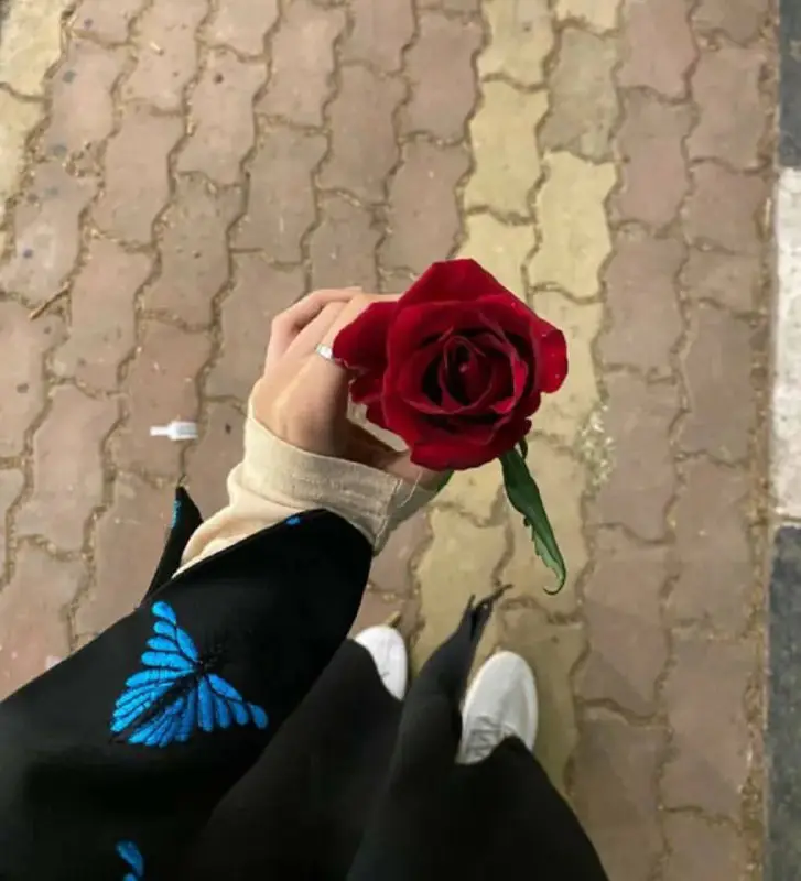مـيـمᥫ᭡