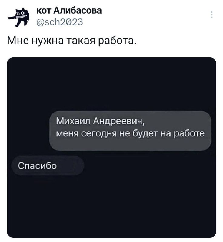 Славик и работа