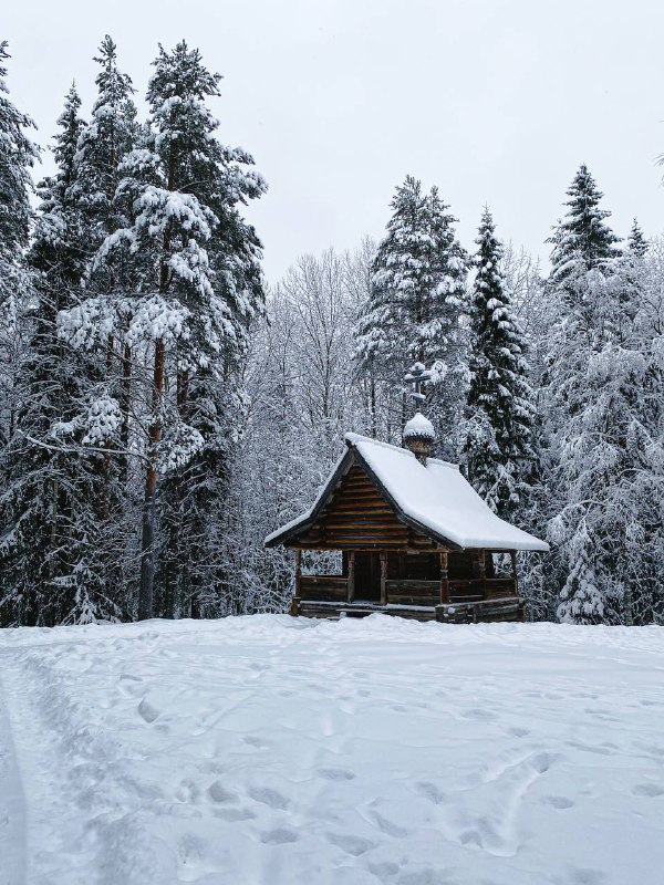 Все в делах. Новый Год на …