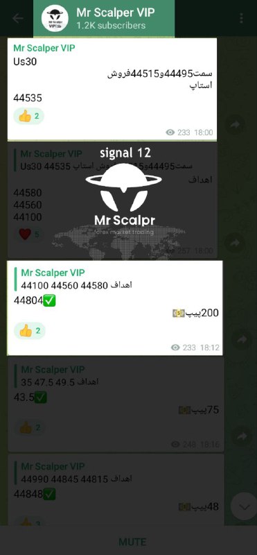 Mr.Scalper | نتایج روزانه