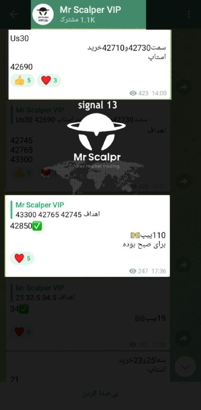 Mr Scalper | مستراسکلپر