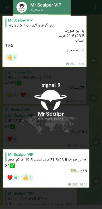 Mr Scalper | مستراسکلپر