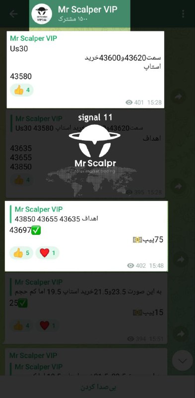 Mr Scalper | مستراسکلپر