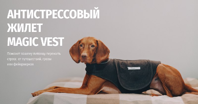 **Обнимающее успокоительное** ***?‍?***