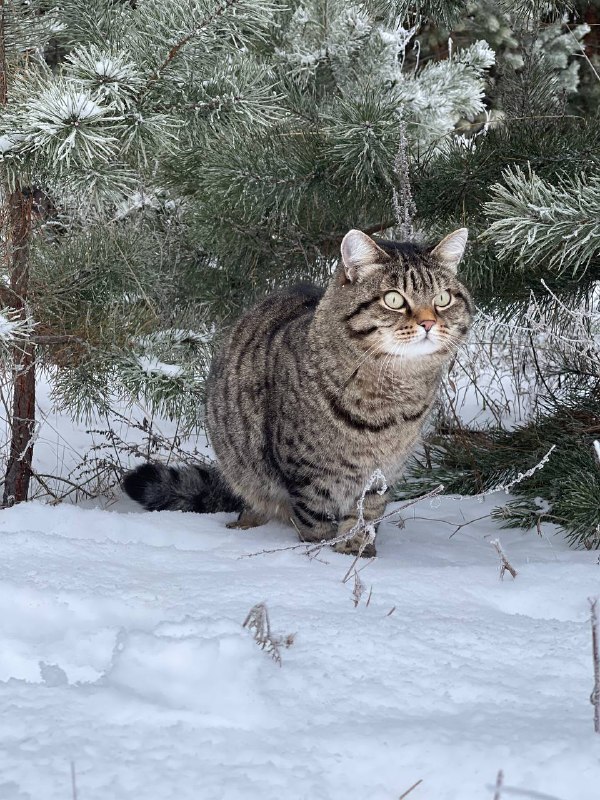 А сегодня у нас уже вот …