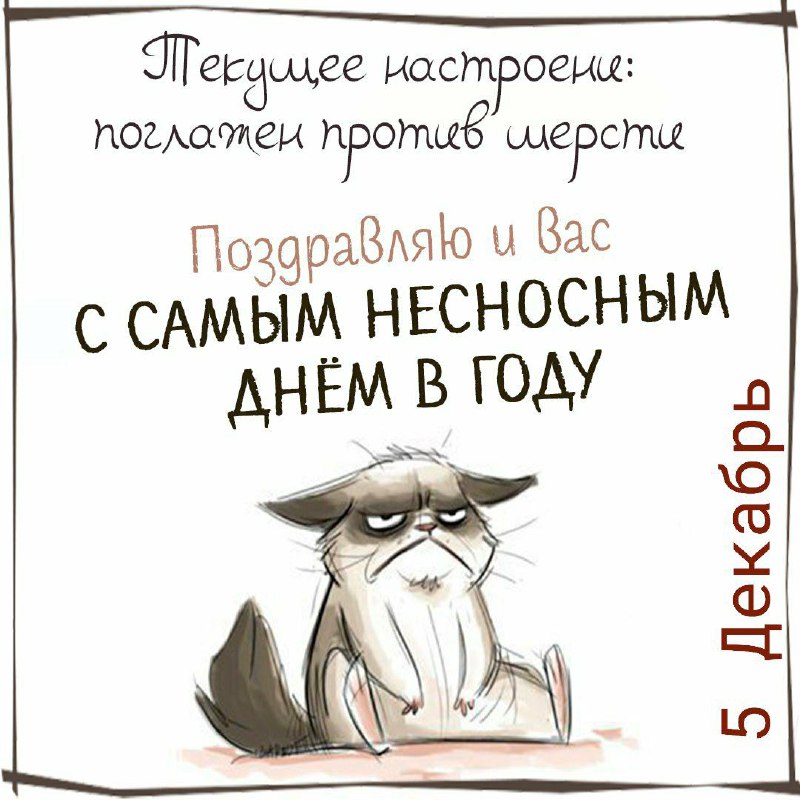 ️КОТИКИ, Фитнес, ЕДА и УЮТ, Юмор …