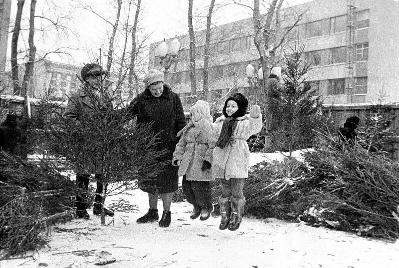 **Ёлочный базар в саду «Аквариум»** ***🎄***