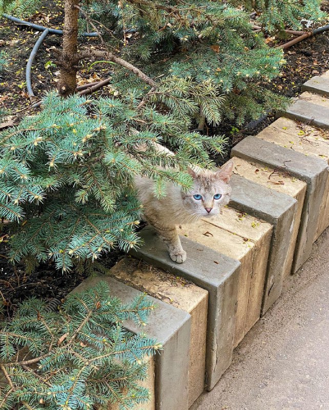 Мой город — Москва