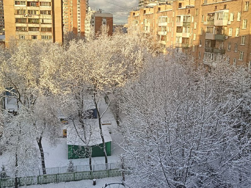 Нижегородский