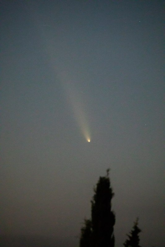 دنباله دار Comet Tsuchinshan-ATLAS این شبها …