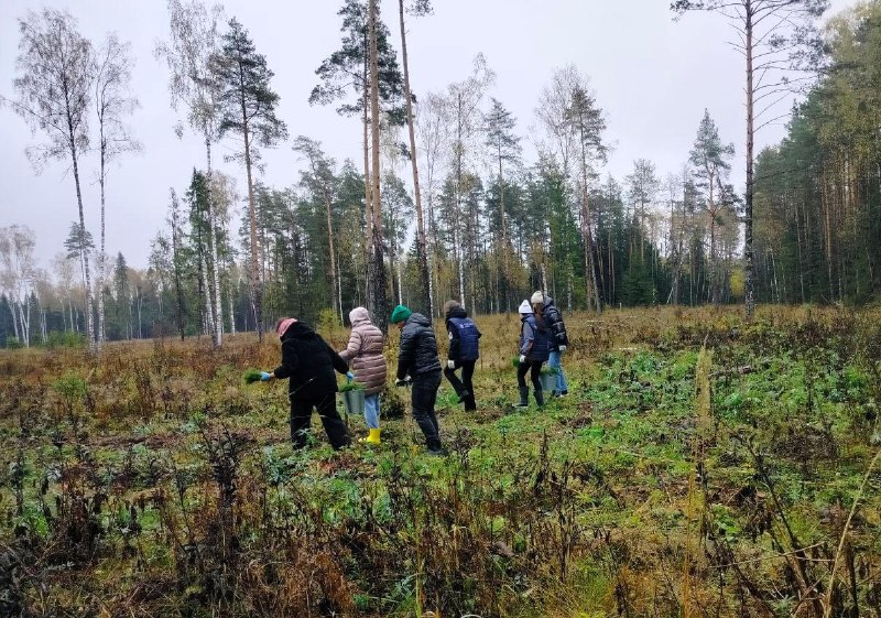 Молодежный совет УФК по Владимирской области