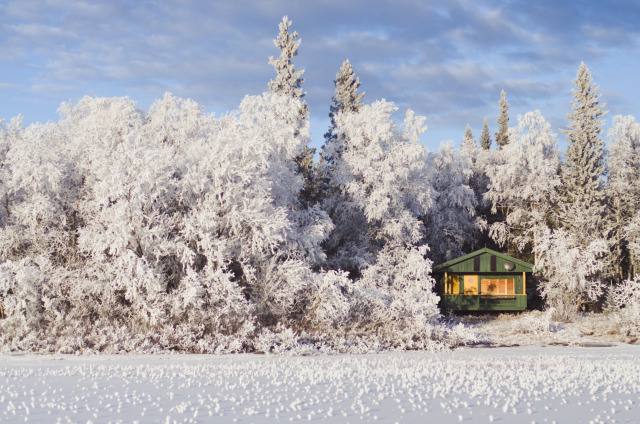 Cabin right by the shore of …