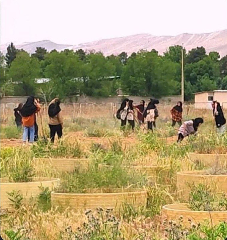دانشکده کشاورزی اینطوریه که یهو می‌بینی …