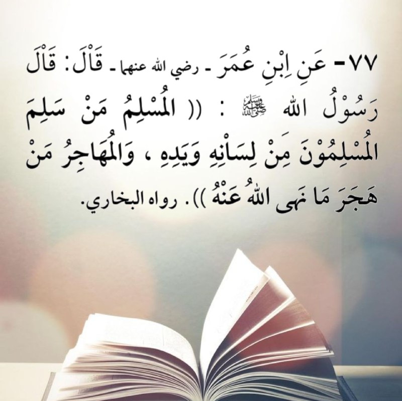 •| مــًعـآ إلَﮯ ٰ الَجَـنَّــة 🪻 …