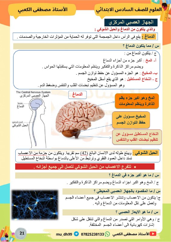 الأستاذ مصطفى الكعبي