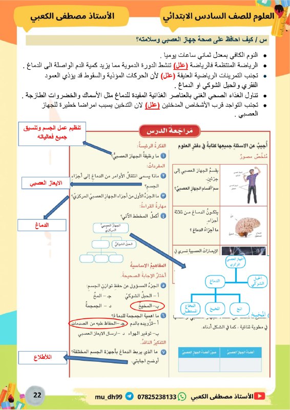 الأستاذ مصطفى الكعبي