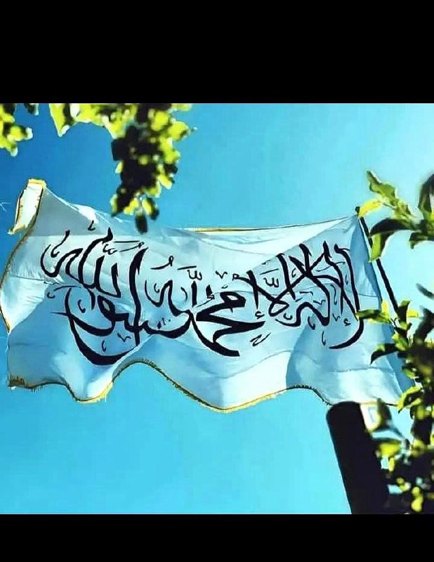 **أما بالنسبة للرايات فهذه رايتي ***🤍******🖤*****[**#مبعثرة\_في\_غربتي**](?q=%23%D9%85%D8%A8%D8%B9%D8%AB%D8%B1%D8%A9_%D9%81%D9%8A_%D8%BA%D8%B1%D8%A8%D8%AA%D9%8A)*****🖤*****
