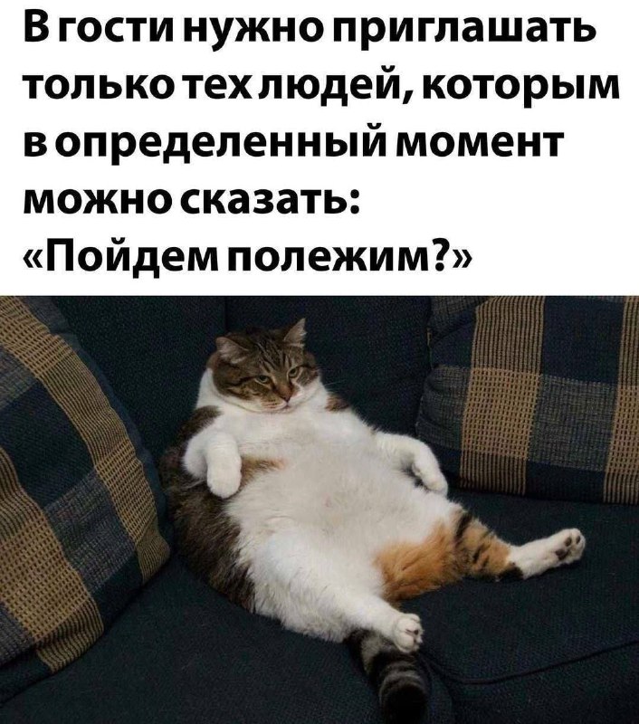 Которым ничего можно не говорить, а …