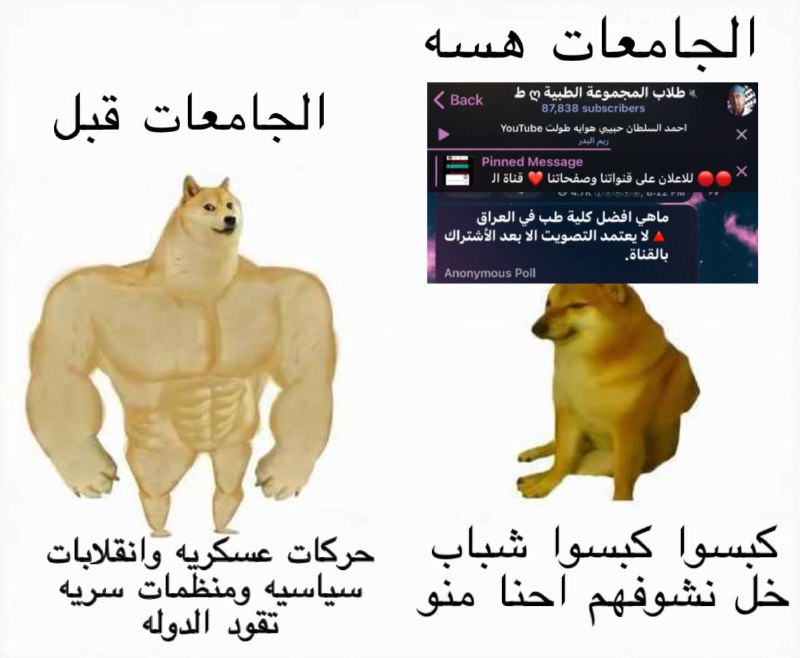 مقبرة المستنصرية