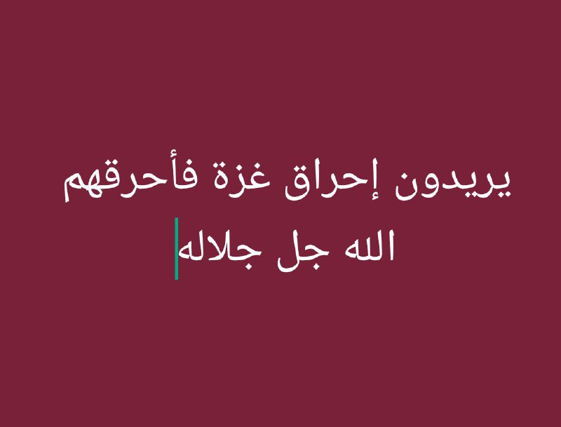 دار الحديث النورية بدمشق - محمد …