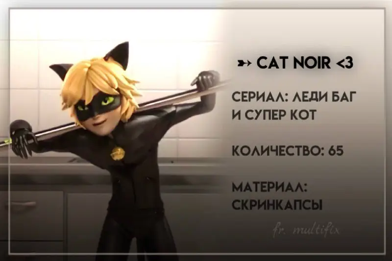 ***➸ cat noir {65} ♡**