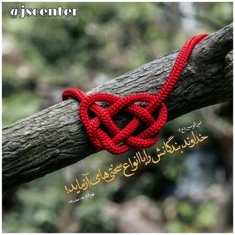 ***🧃*** شب بخیر