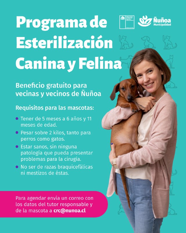 ***🐶*** Programa de Esterilización Canina y …