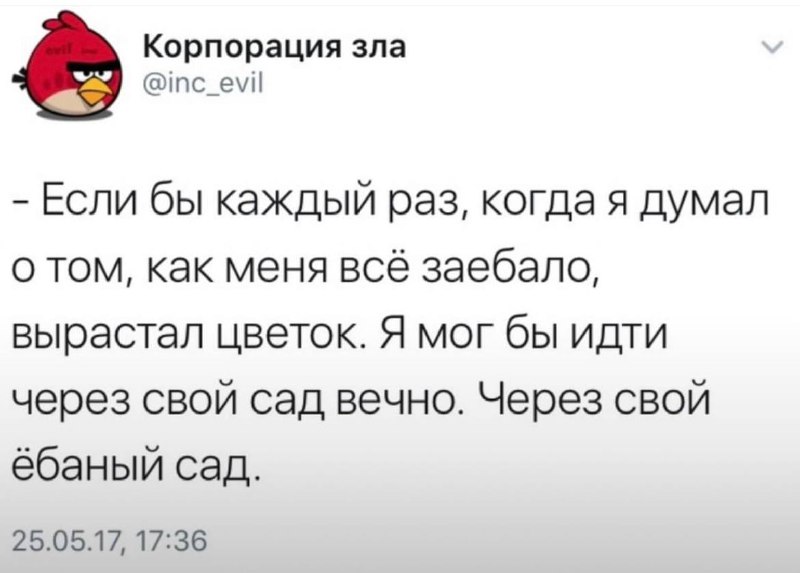 Утро доброе всем***❤️***