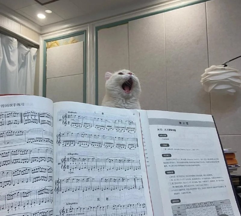 Musical memes and sheet