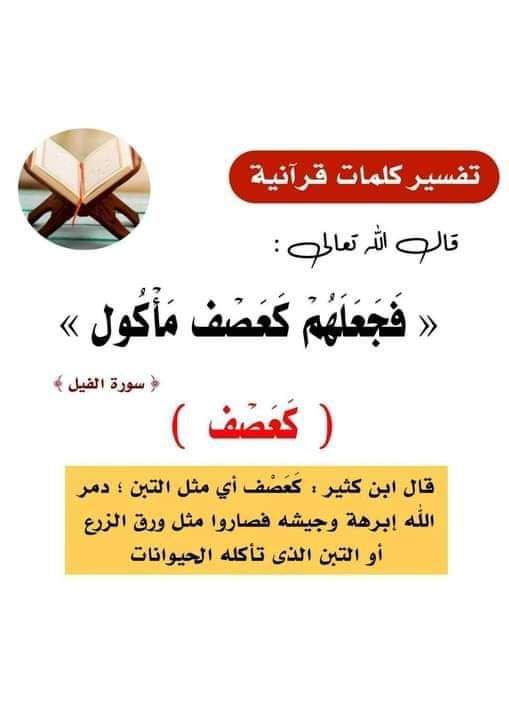 مِنهَاجٌ.