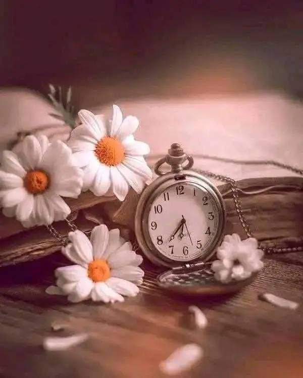 به خدا سوگند،