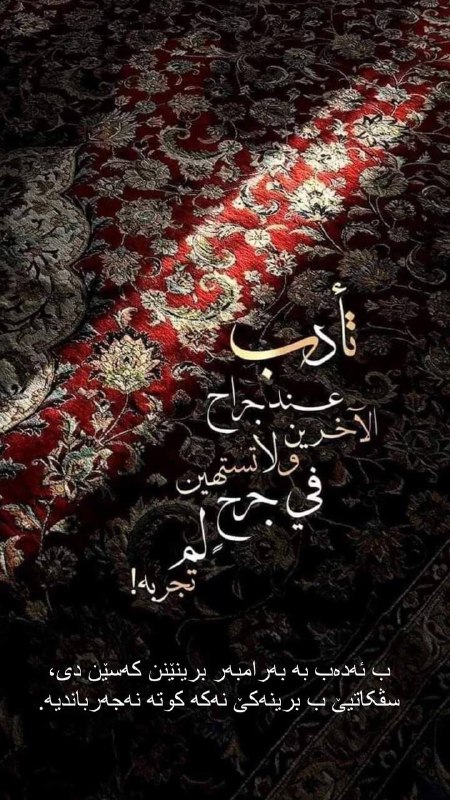 "نـازكـ الـكـرديـة"